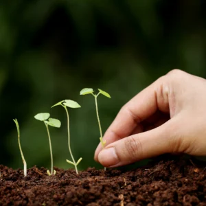 Create New Beginnings to Change YOUR History